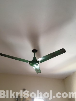 fan